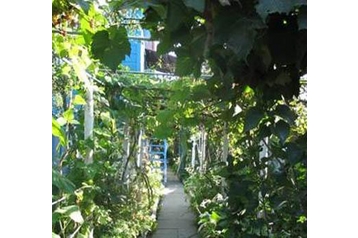 Rumunija Privát Sulina, Eksterijer